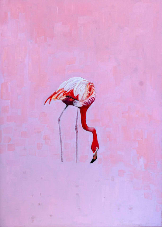 Flamingo - Print