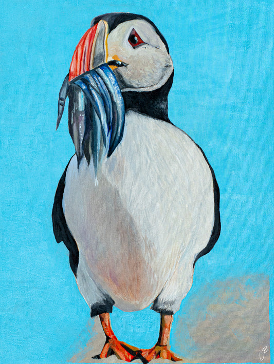 Puffin in Iceland Blue - Print