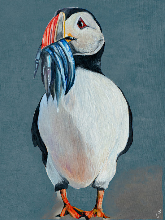 Puffin in Iceland Retro Blue - Print