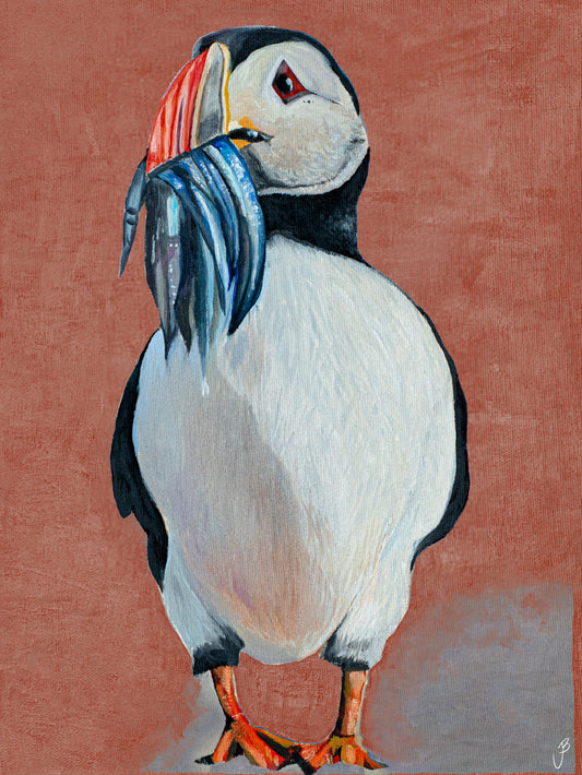 Puffin in Iceland Brown - Print